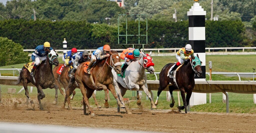 競馬初心者の馬券購入イメージ