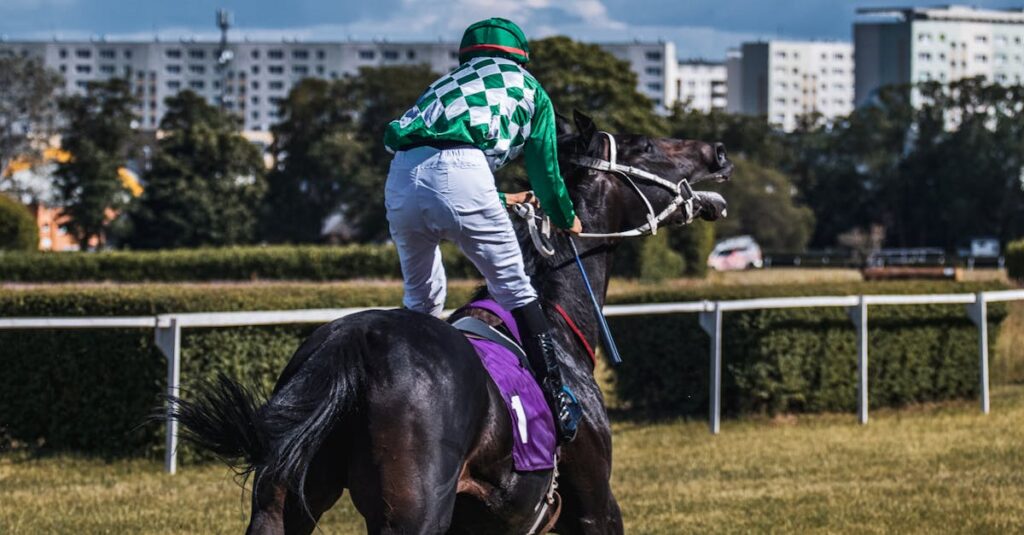 初心者向け馬券の買い方イメージ