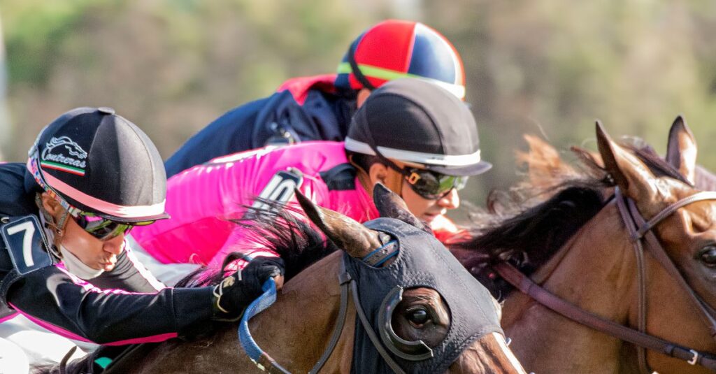 競走馬と乗馬の違いイメージ