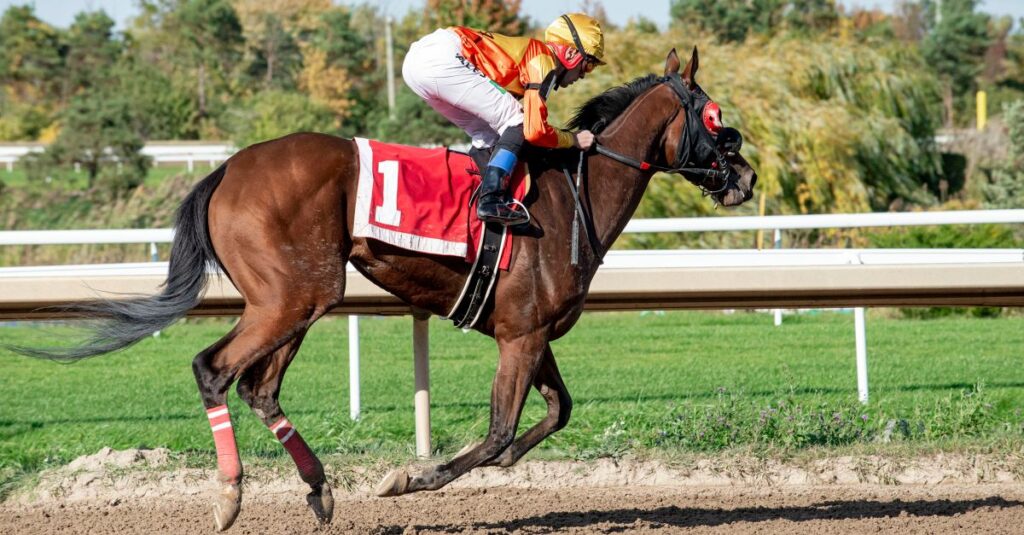 競馬の馬券イメージ