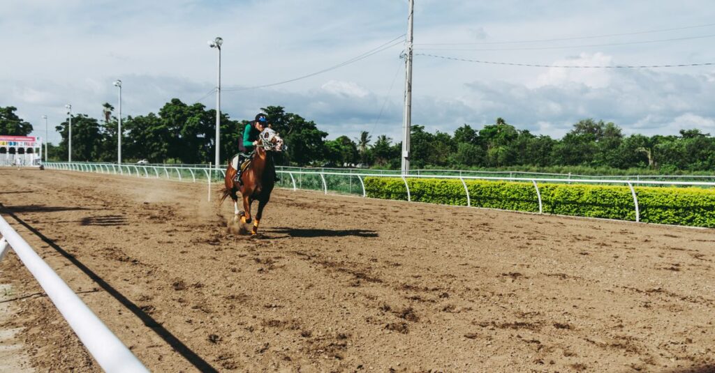 厩舎で調教される競走馬