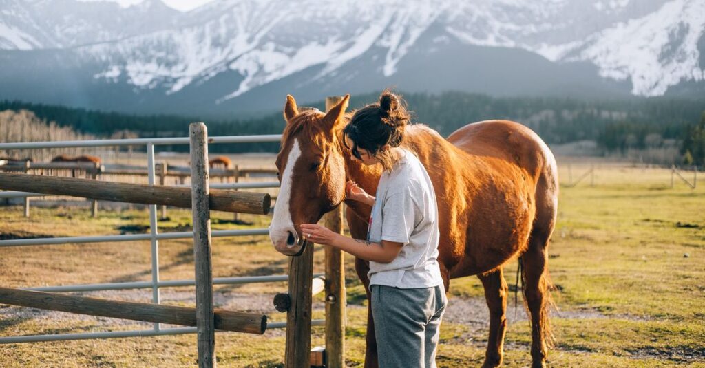 ポニーと大きな競走馬のサイズ比較