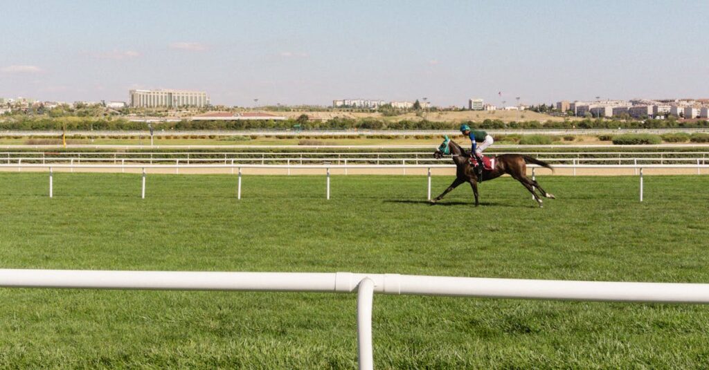 VIP席からレースを観戦する馬主