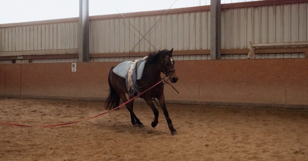 一口馬主の始め方ステップ解説
