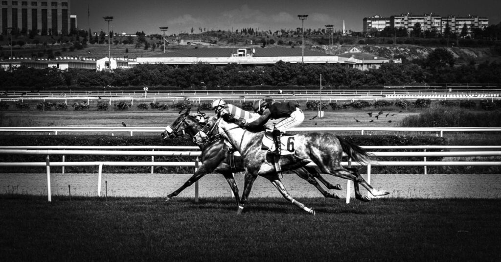 競馬場で勝利を喜ぶ馬主と競走馬