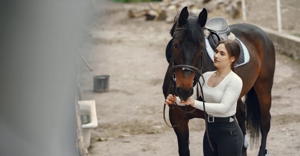 馬の健康管理と長寿のイメージ