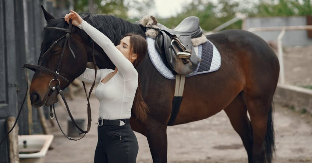 一口馬主クラブ比較イメージ