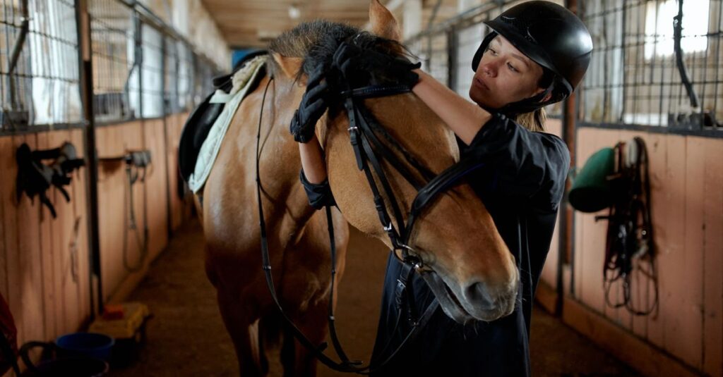 競走馬を確認する馬主