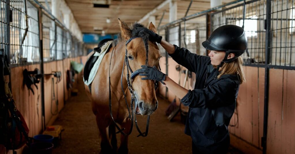 競走馬を確認する馬主
