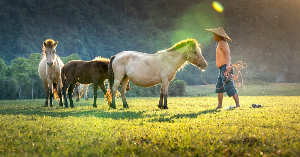 馬の年齢と人間年齢の比較表イメージ