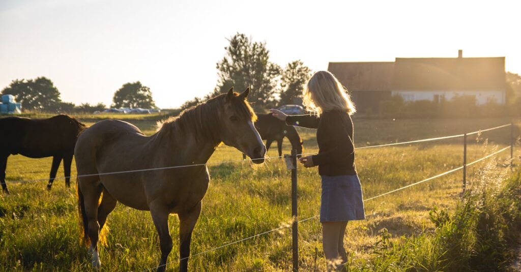一口馬主の始め方ステップ解説