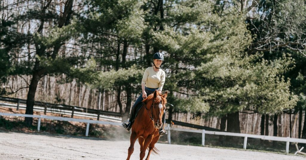 大型馬と体重がある人の乗馬イメージ