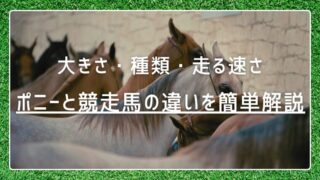 ポニーと競走馬の違いを簡単解説｜大きさ・種類・走る速さの違い