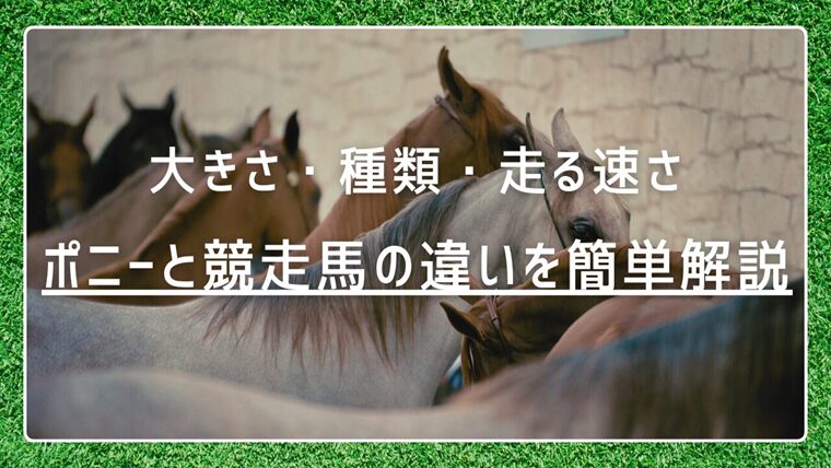 ポニーと競走馬の違いを簡単解説｜大きさ・種類・走る速さの違い