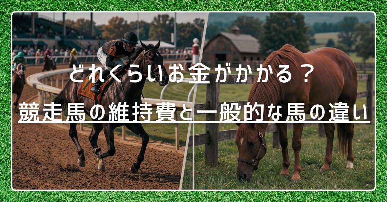 競走馬の維持費と一般的な馬の違い｜どれくらいお金がかかるのか解説
