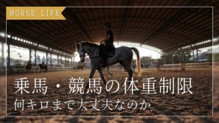 馬は何キロまで耐えられる？乗馬・競馬のリアルな体重制限まとめ