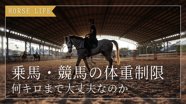 馬は何キロまで耐えられる？乗馬・競馬のリアルな体重制限まとめ