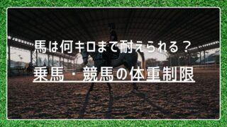 馬は何キロまで耐えられる？乗馬・競馬のリアルな体重制限まとめ