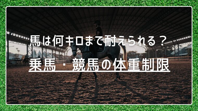 馬は何キロまで耐えられる？乗馬・競馬のリアルな体重制限まとめ