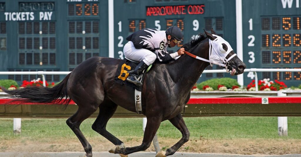 競馬で賢く勝つイメージと戦略