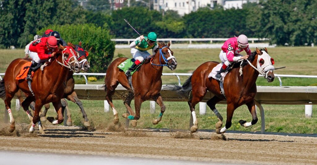 圧倒的に強い1番人気の馬のイメージ