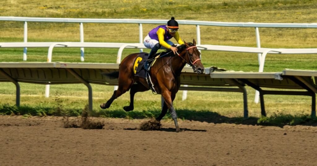 競馬で勝つイメージ
