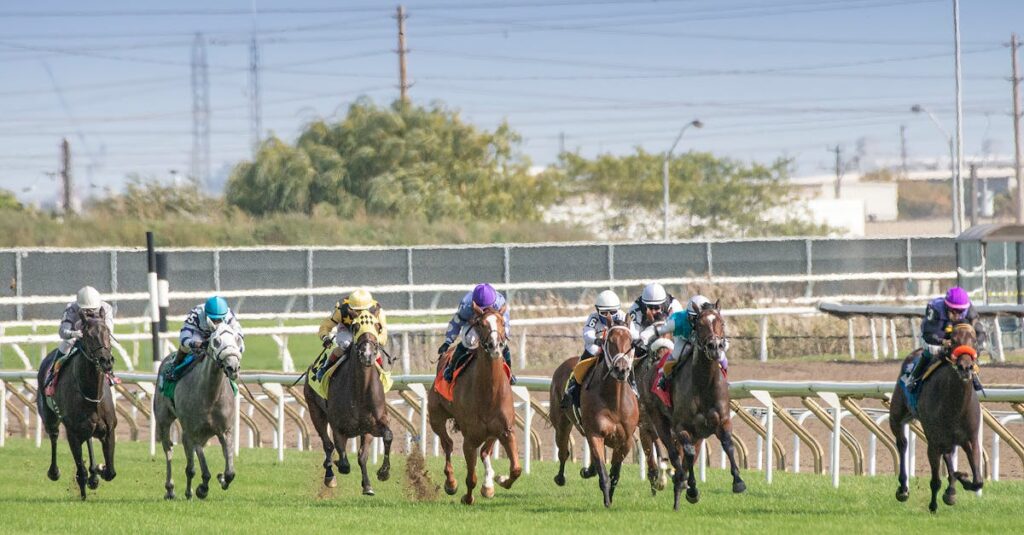 競馬の騎手とレースの様子