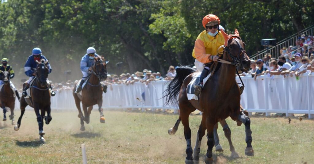 競馬のワイド馬券の買い方イメージ