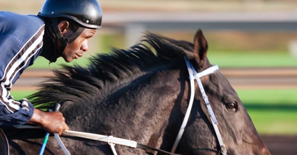 競馬の血統イメージ
