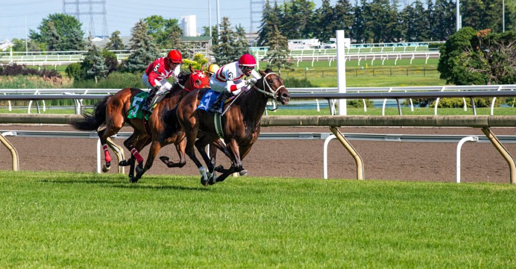 競馬のワイドとは何かをわかりやすく解説するイメージ