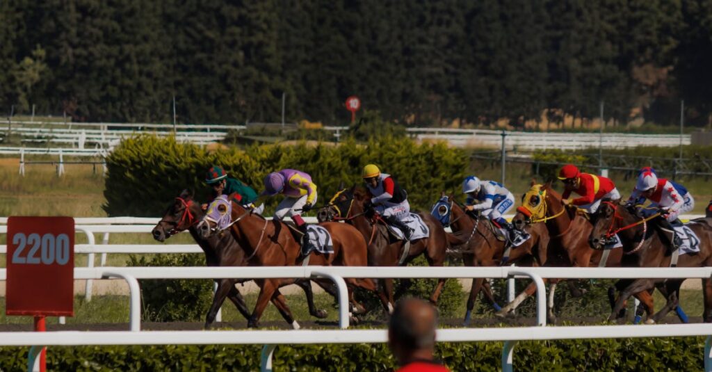 初心者のパドック勘違い