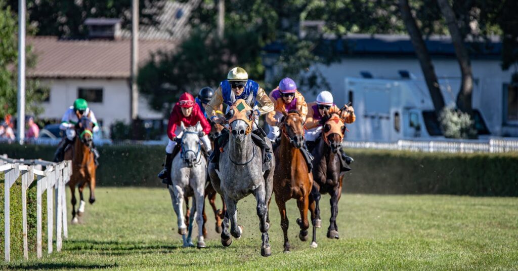 競馬パドックの基本イメージ
