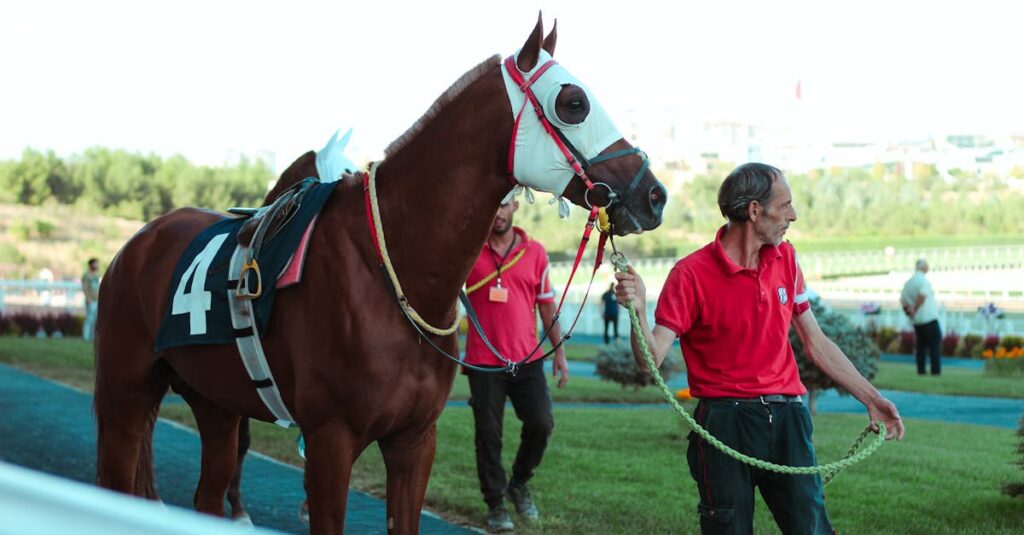 競馬のワイド馬券の買い方イメージ