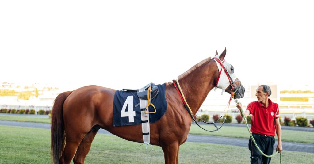 競走馬の魅力イメージ