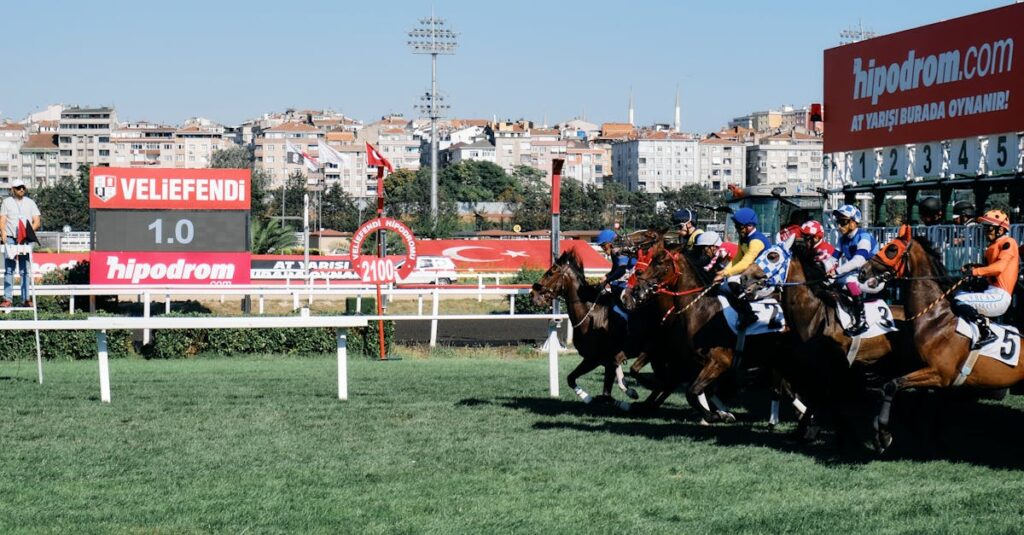 競馬で勝つイメージ