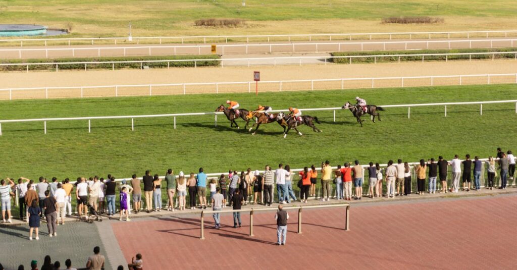競馬を楽しむ人とワイド馬券のイメージ