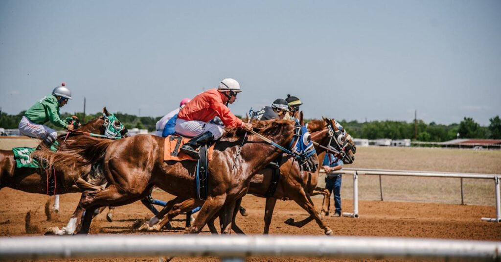 競馬の1番人気を買い続けた結果のイメージ