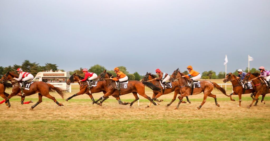 日本の競走馬セリ