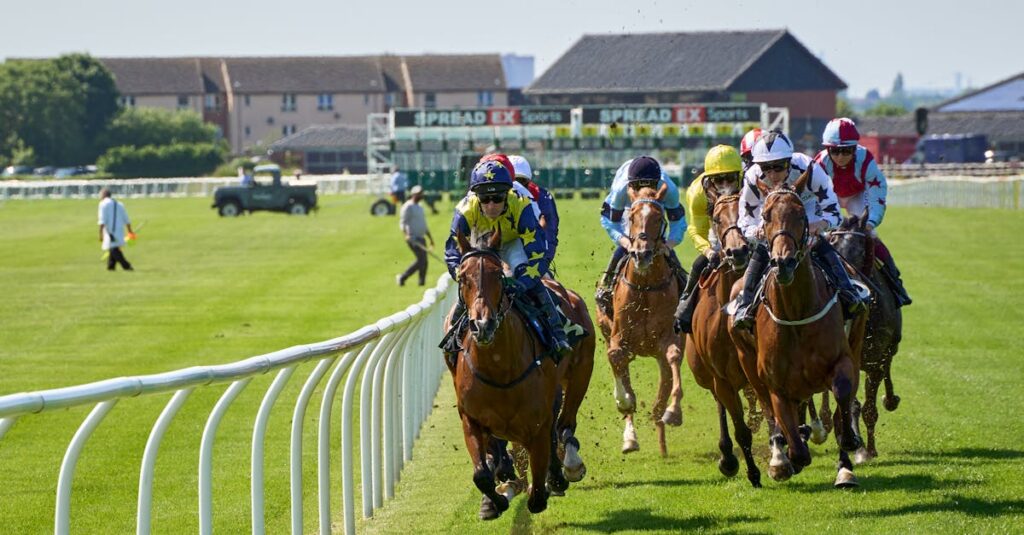 競馬で1番人気を使った戦略のイメージ
