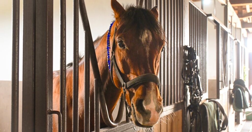 競馬の血統表の見方