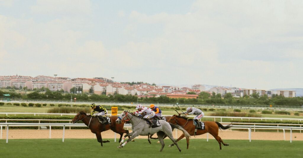 競馬で1番人気を使った戦略のイメージ