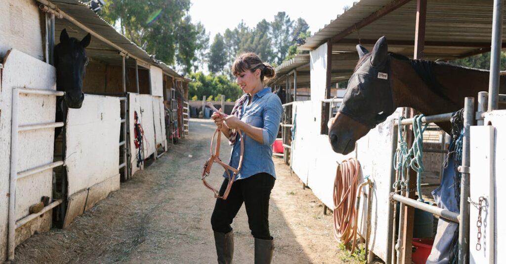 競走馬セリの裏側イメージ