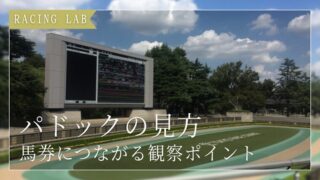 競馬パドックの見方を徹底解説｜馬券につながる観察ポイント