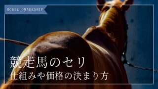 競走馬のセリとは?仕組みや価格の決まり方をわかりやすく解説