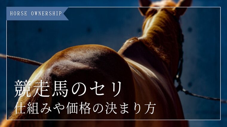 競走馬のセリとは？仕組みや価格の決まり方をわかりやすく解説