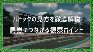 競馬パドックの見方を徹底解説｜馬券につながる観察ポイント
