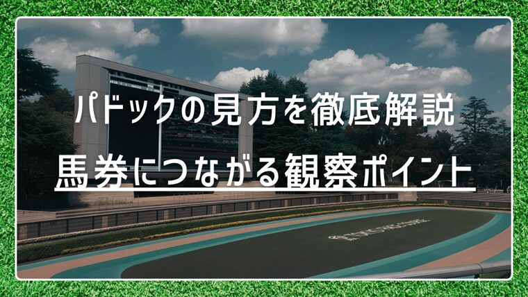 競馬パドックの見方を徹底解説｜馬券につながる観察ポイント