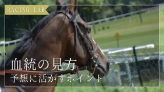 【競馬】血統の見方とは？予想に活かす5つのポイントを解説