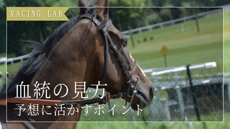 【競馬】血統の見方とは？予想に活かす5つのポイントを解説