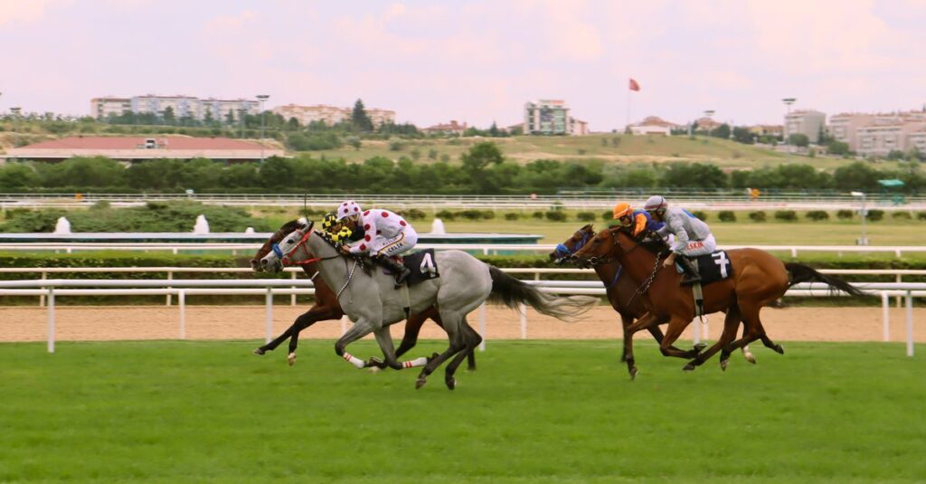 競馬の距離適性イメージ